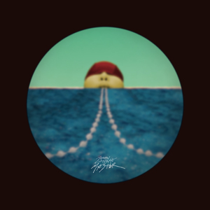 动物擦入身体的视频大全
