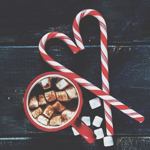 动物擦入身体的视频大全
